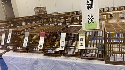 細淡